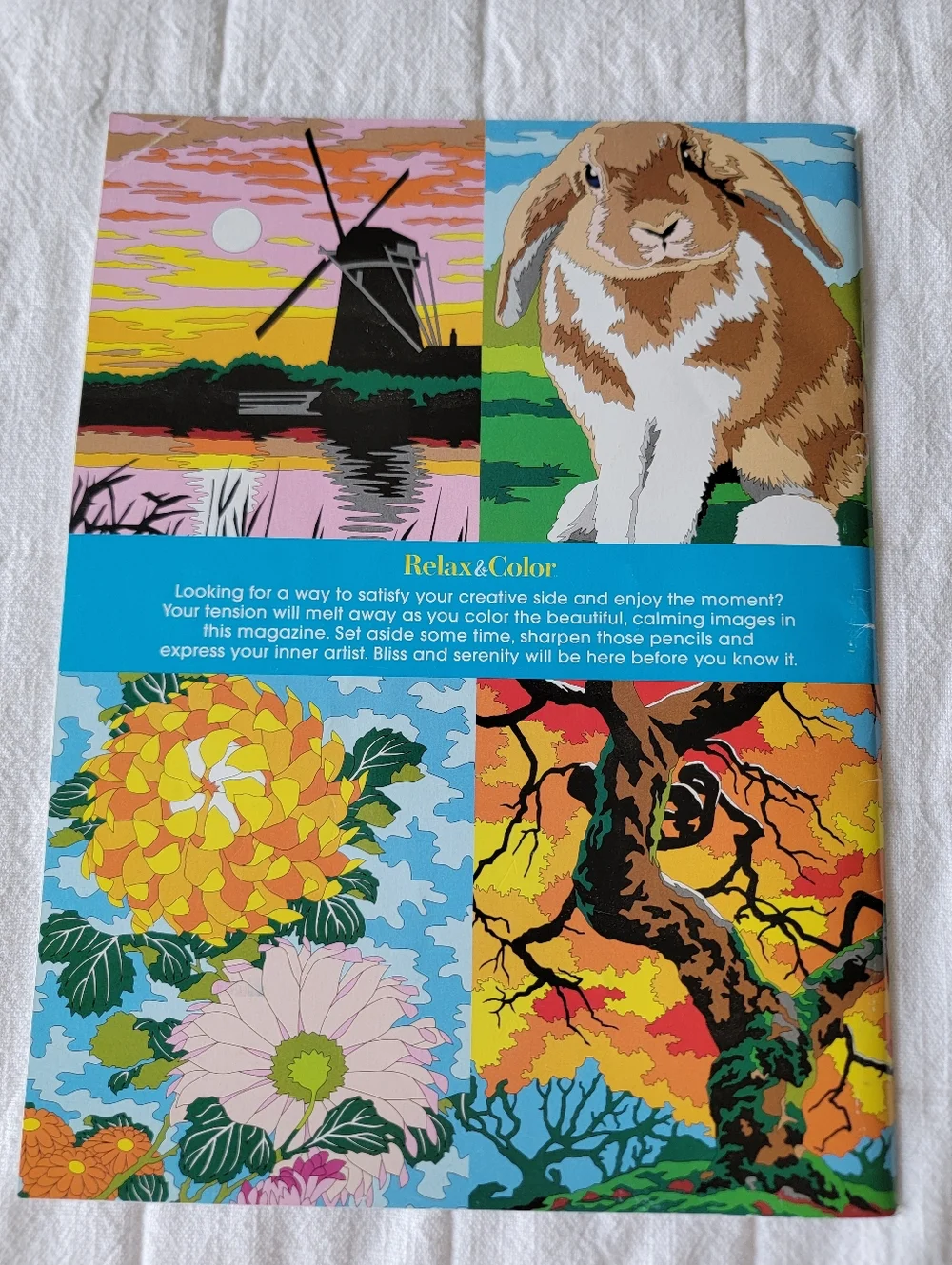 Set of 2 Coloring Books Relax & Color and Living Wonders Color Art